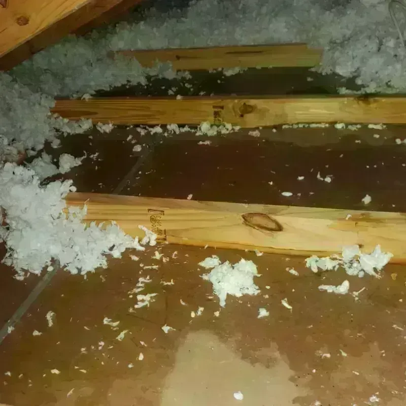 Attic Water Damage in Dadeville, AL