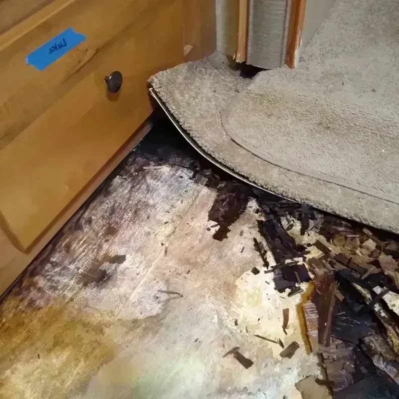 Wood Floor Water Damage in Dadeville, AL